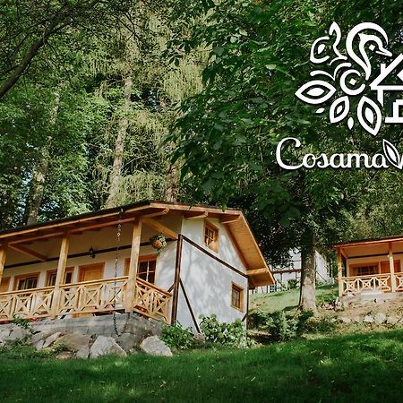 Cosama Village 锡吉什瓦拉 外观 照片